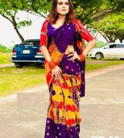 New Cotton Batik Saree ( CODE:- BS-116 )