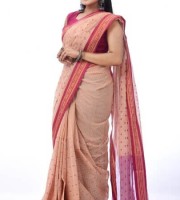 Pure Cotton Saree ( CODE:- PCS-158 )